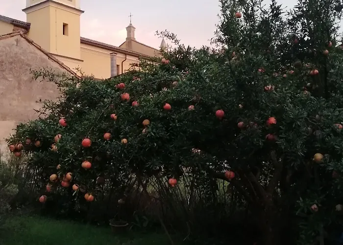 Ciliegio Felice לינה וארוחת בוקר