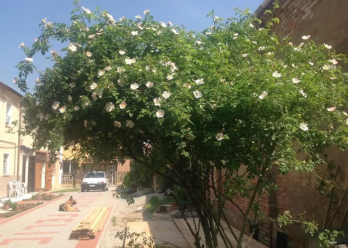 לינה וארוחת בוקר Ciliegio Felice מולינלה