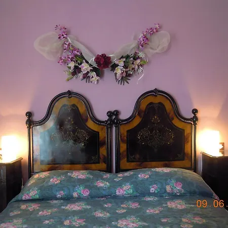 Ciliegio Felice 3* Molinella