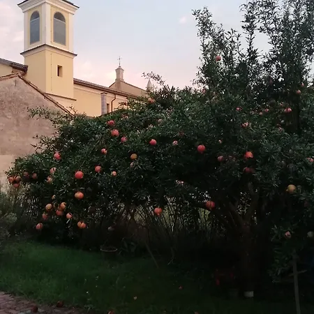 Ciliegio Felice Bed and Breakfast