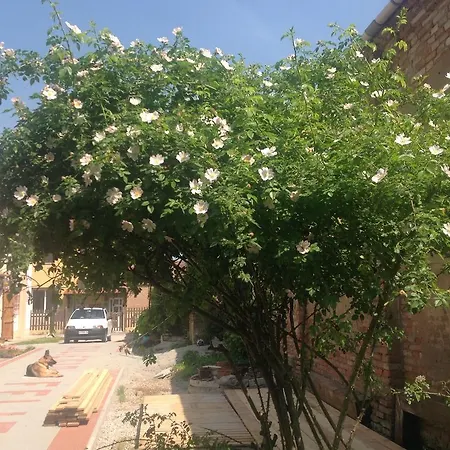 Bed & Breakfast Ciliegio Felice Molinella