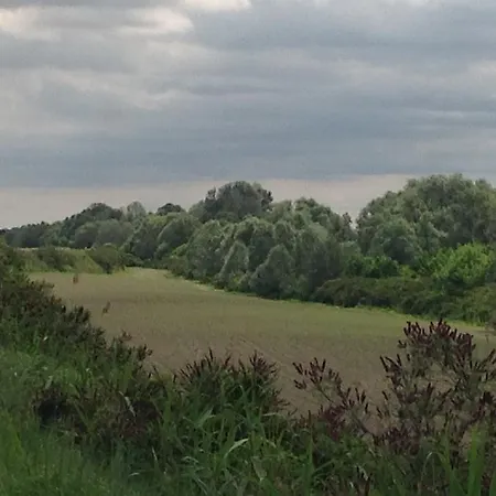 Ciliegio Felice B&B 몰리넬라