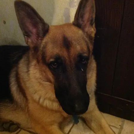 Ciliegio Felice B&B 3*