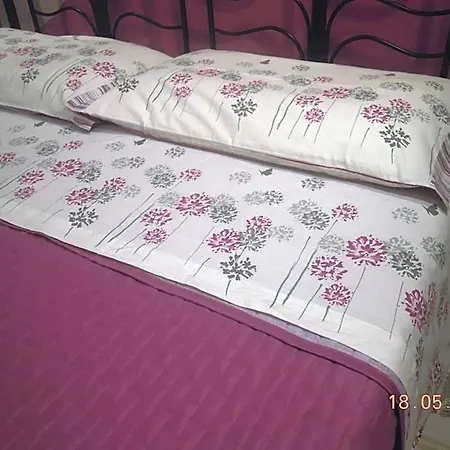 Ciliegio Felice 3*