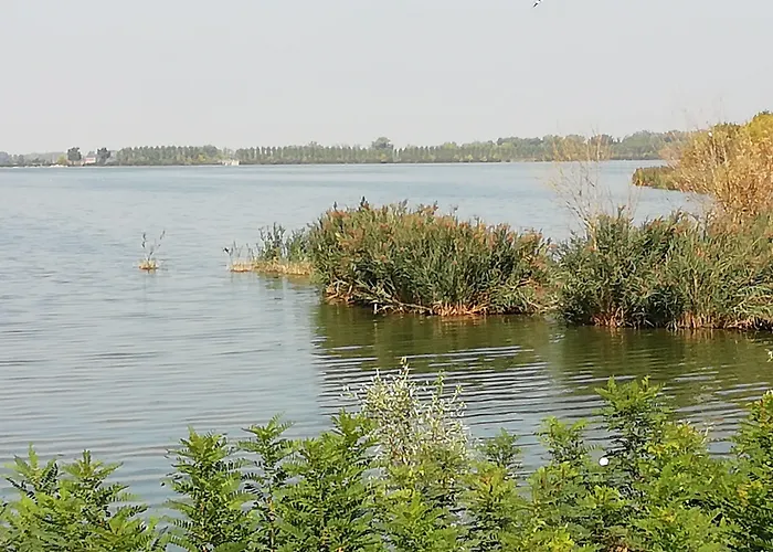 住宿加早餐酒店 Ciliegio Felice