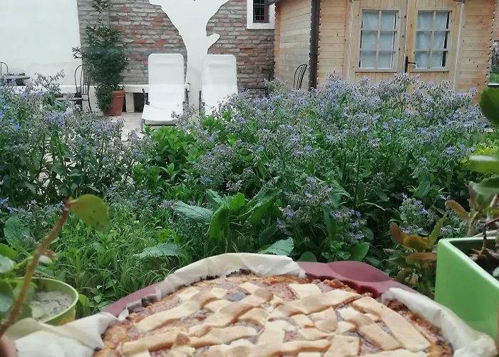 Ciliegio Felice