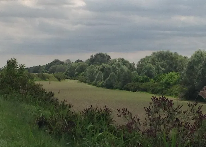 Ciliegio Felice 住宿加早餐酒店 莫利内拉